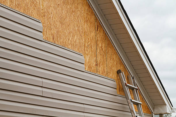 Professional Siding Inspection technician working in Long Branch, VA